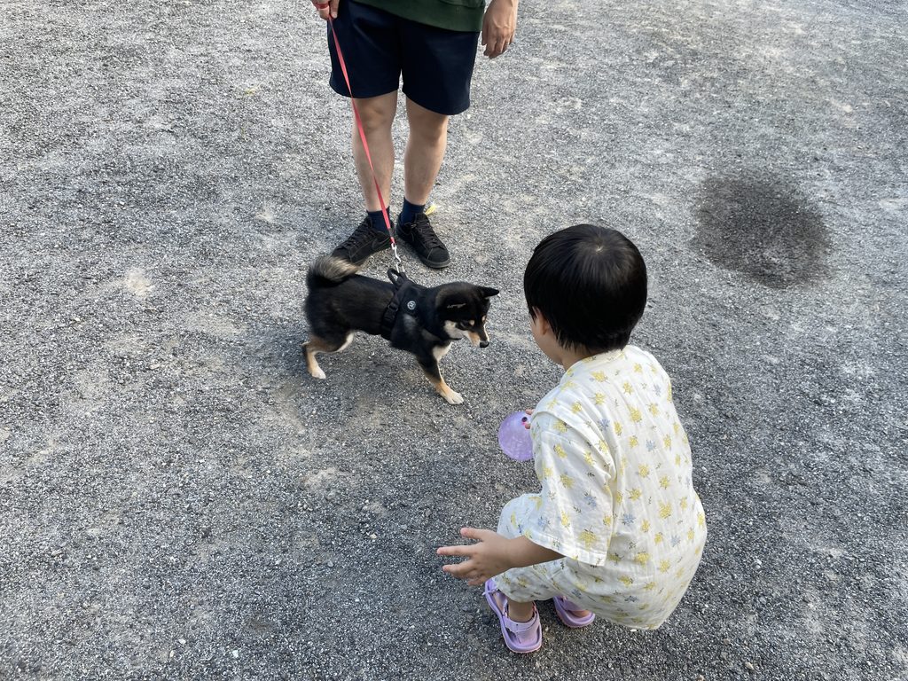 娘と一緒に遊ぶコロネ